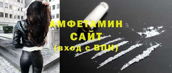 гидра Новозыбков
