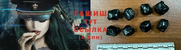гидра Новозыбков