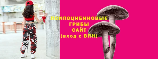 гидра Новозыбков