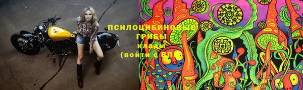 марки nbome Новокубанск