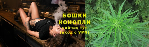гидра Новозыбков