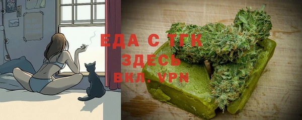 гидра Новозыбков