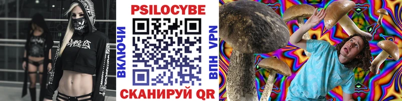 Псилоцибиновые грибы Psilocybe  Прокопьевск 