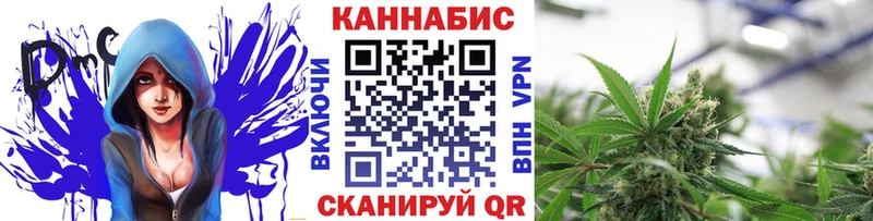Бошки марихуана индика  где купить наркоту  Прокопьевск 